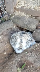 IMG_20190824_083406.jpg IMG_20190824_083406.jpg