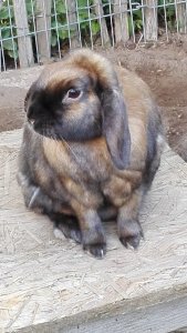 IMG_20190824_082343.jpg IMG_20190824_082343.jpg