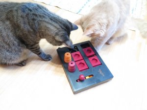 IMG_1635 (Small).JPG