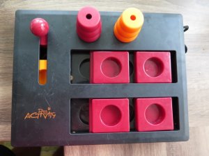 IMG_1647 (Small).JPG