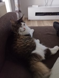 WhatsApp Image 2019-09-05 at 19.04.27(1).jpeg