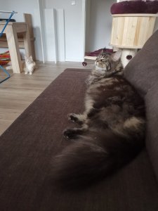 WhatsApp Image 2019-09-05 at 19.04.27.jpeg