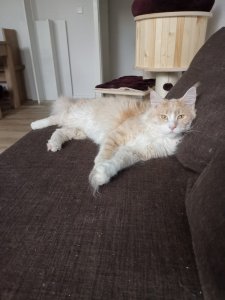 WhatsApp Image 2019-09-05 at 19.09.49.jpeg