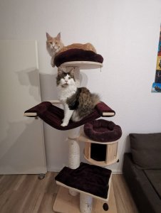 WhatsApp Image 2019-09-05 at 19.43.12.jpeg