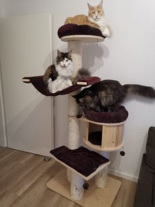 WhatsApp Image 2019-09-05 at 19.43.57.jpeg