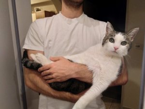 IMG_20180730_230239.jpg IMG_20180730_230239.jpg