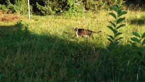 IMG_20180821_182737.jpg IMG_20180821_182737.jpg