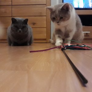 Lissy und madita.jpg