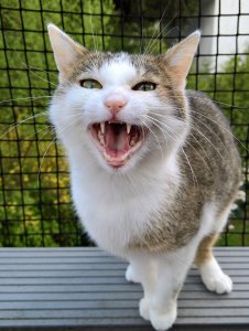 WP_20180416_14_55_45_Rich (2).jpg