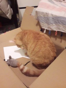 20180925_213551.jpg 20180925_213551.jpg