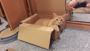 Sherlock 8.jpg Sherlock 8.jpg