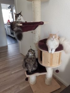 WhatsApp Image 2019-09-28 at 08.46.02.jpeg