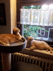 20190615_210004 (1).jpg