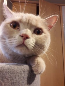 20190307_082746 (1).jpg