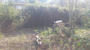 20190825_102249 (1).jpg