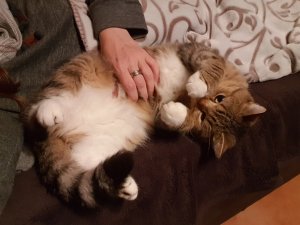 20191018_212006.jpg 20191018_212006.jpg