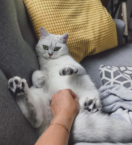 Bildschirmfoto 2019-10-23 um 14.45.37.png