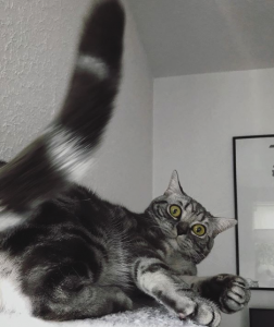 Bildschirmfoto 2019-11-05 um 10.17.53.png