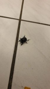 WhatsApp Image 2019-11-07 at 21.06.23.jpeg