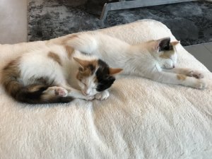 A+tCK0JFTA2P3hMwrnU9%Q.jpg A+tCK0JFTA2P3hMwrnU9%Q.jpg