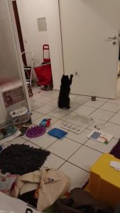 WhatsApp Video 2019-11-11 at 22.47.27_Moment.jpg