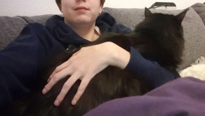 WhatsApp Image 2019-11-14 at 21.43.43.jpeg