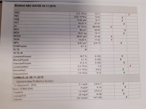 Blutwerte.jpg