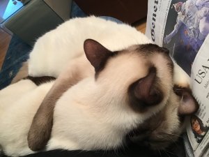 9BC56CB6-3720-4969-9B41-5D5591DC54B2.jpeg 9BC56CB6-3720-4969-9B41-5D5591DC54B2.jpeg