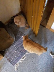 20191225_113115 (1).jpg