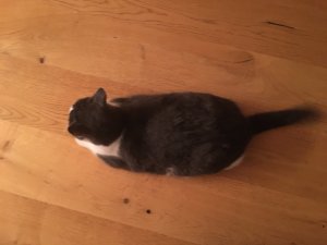 EE63A0A5-9AA7-4649-97FF-B691DF7CE0A2.jpeg EE63A0A5-9AA7-4649-97FF-B691DF7CE0A2.jpeg