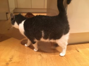 EDF1BD43-2AFD-4629-99F1-7FFB528FCF87.jpeg EDF1BD43-2AFD-4629-99F1-7FFB528FCF87.jpeg