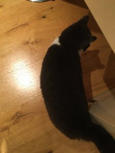 BEA0B990-F9A4-4B64-9FFF-EB742911262C.jpeg BEA0B990-F9A4-4B64-9FFF-EB742911262C.jpeg