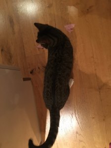 F0710543-B4C6-4A58-B5E4-B524BFF9DFED.jpeg F0710543-B4C6-4A58-B5E4-B524BFF9DFED.jpeg