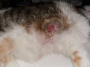 WhatsApp Image 2020-01-20 at 21.12.29.jpeg