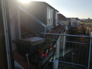 IMG_20200121_131454 (1).jpg