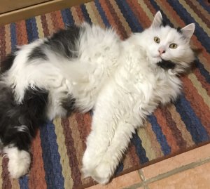 IMG_0113.jpg IMG_0113.jpg