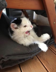 IMG_0114.jpg IMG_0114.jpg