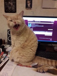 20200101_203841 (1).jpg