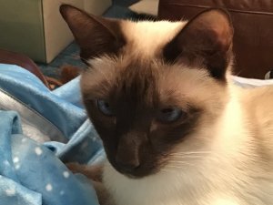 AFCD191D-F828-4C1E-BF92-2B641EA32D5F.jpeg AFCD191D-F828-4C1E-BF92-2B641EA32D5F.jpeg