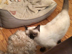 FD475D73-B310-4DD1-8E2A-A0996B901ADD.png FD475D73-B310-4DD1-8E2A-A0996B901ADD.png