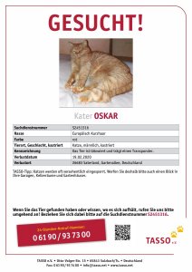 TASSO_Suchplakat_S2451316.jpg