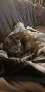 20200223_223950.jpg 20200223_223950.jpg