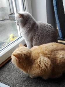 IMG_20200306_095130.jpg IMG_20200306_095130.jpg