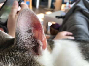 image4.jpeg image4.jpeg