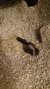 WhatsApp Video 2020-03-13 at 22.26.35_Moment(2).jpg