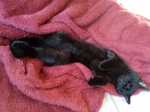 IMG_20200226_165659 (1).jpg