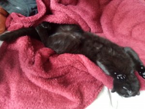 IMG_20200226_164907 (2).jpg