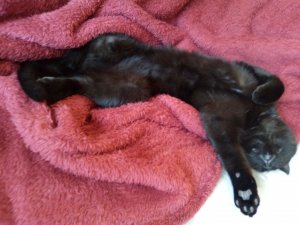 IMG_20200226_165755 (1).jpg