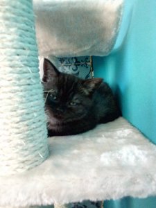 IMG_20200315_082150 (3).jpg