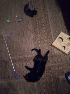 IMG_20200315_193826 (1).jpg